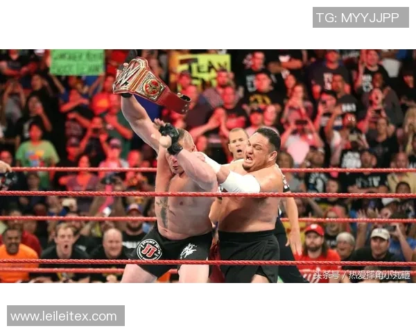 高博与莱斯纳2017年巅峰对决回顾与精彩瞬间分析